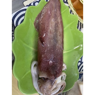 MỰC TRỨNG SIZE KHỔNG LỒ ( 3 con/Kg)