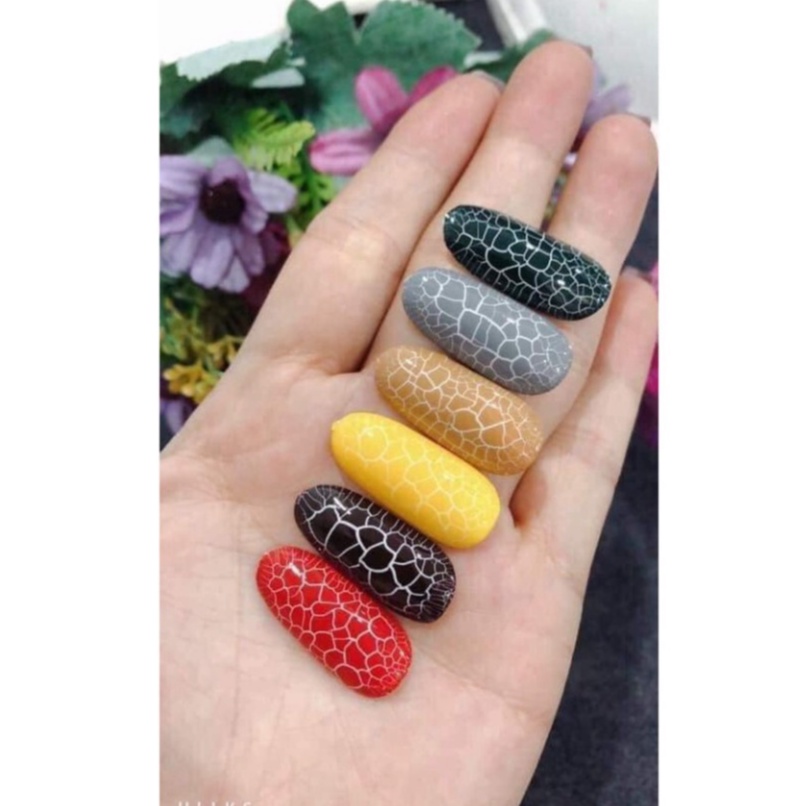 Sơn nứt bobo sét 6 màu