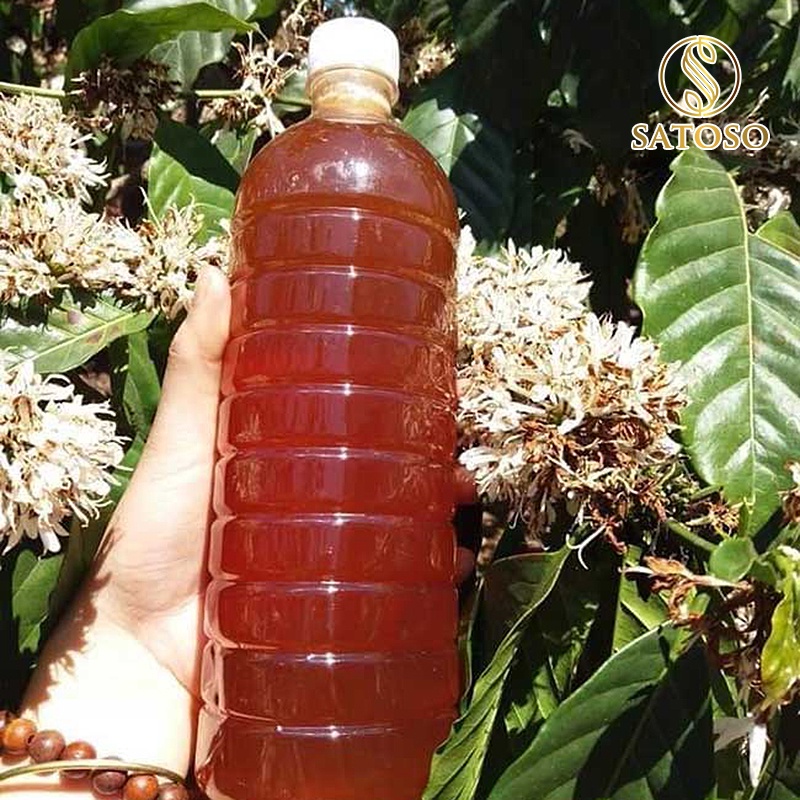 Mật ong hoa cà phê nguyên chất thương hiệu SATOSO SA135