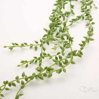 Cây cảnh nhân tạo treo tường trang trí nội thất
