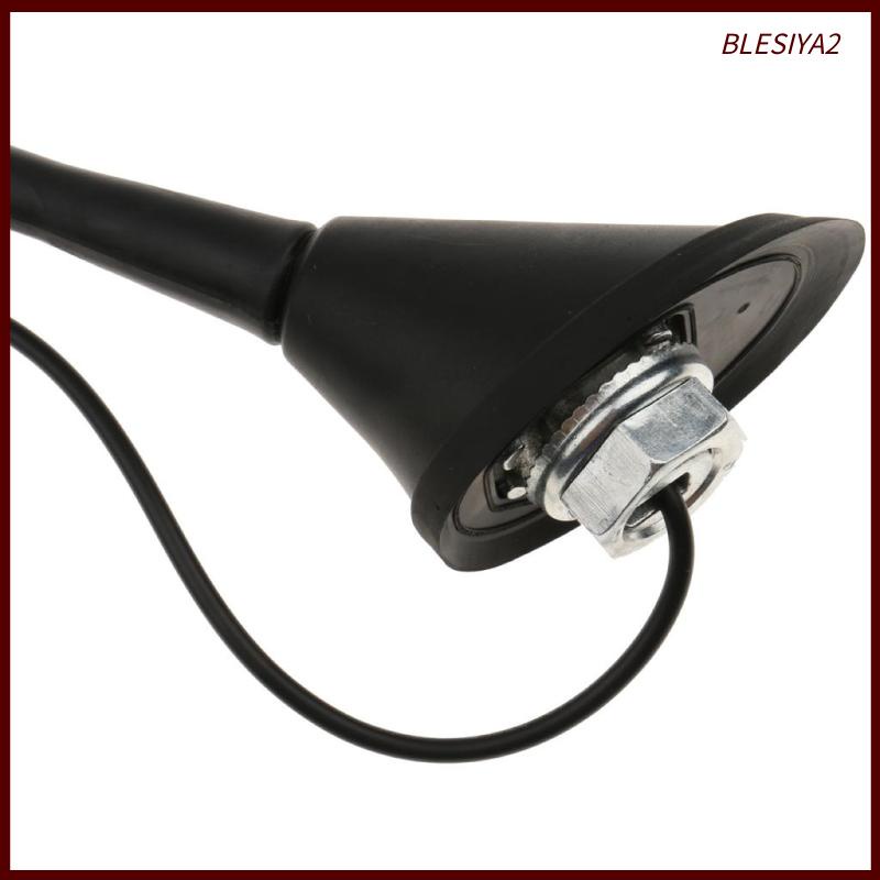 Ăng Ten AM / FM Radio AM / FM 9 '' Gắn Nóc Xe Hơi Blesiya2 + Đế Giữ