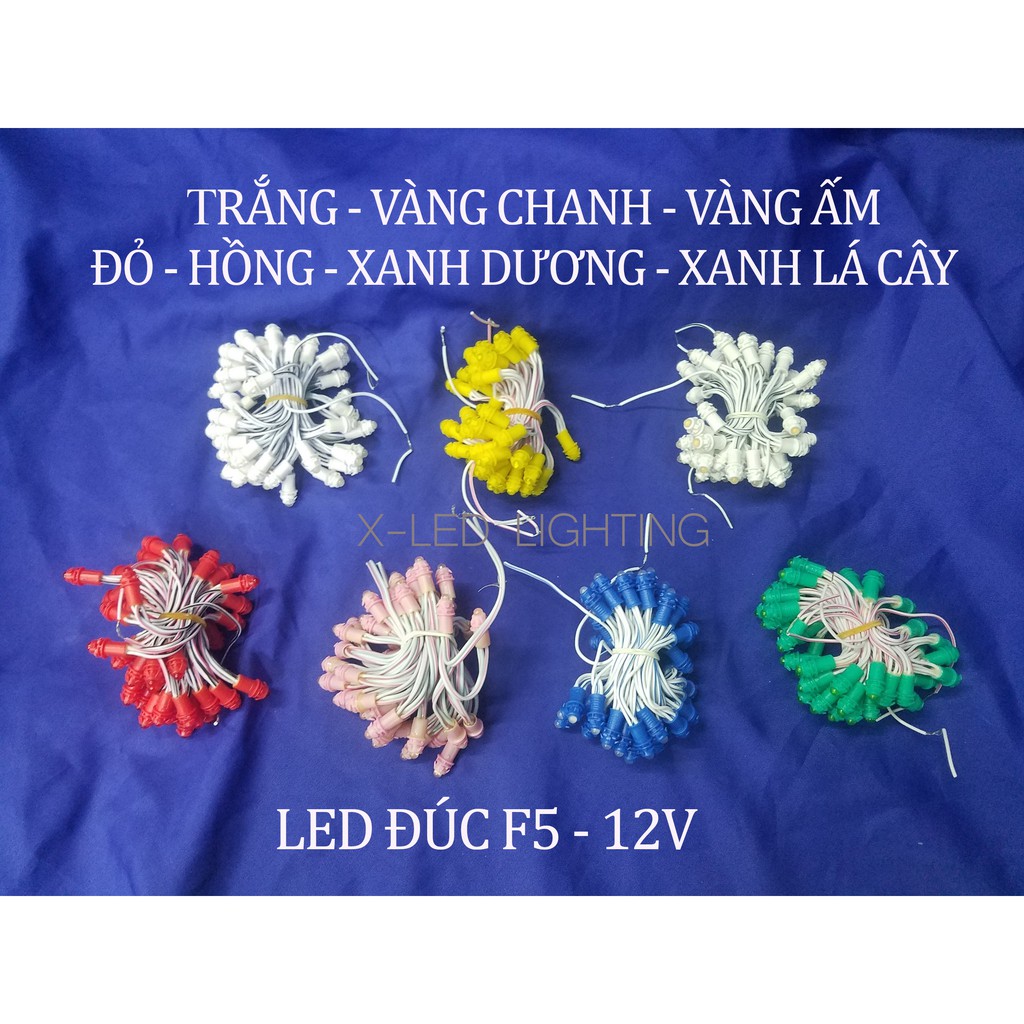 [X-LED] Led đúc F5 - 12V  trang trí ngoài trời IP68