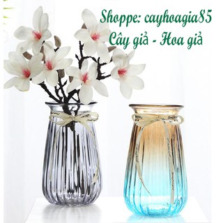 Bình Thủy Tinh_ Bình Thắt Nơ Bông Mai