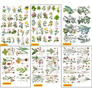 Sticker washi A4 [ HOA + HẠT GIỐNG] dạng lì trang trí bullet journal siêu đẹp MẪU 1 (106001-106006)