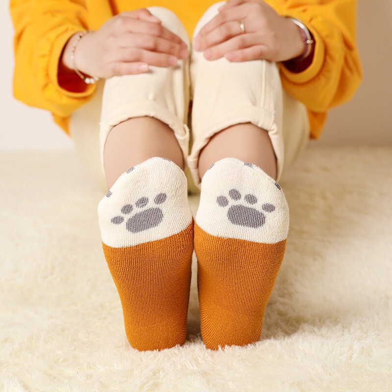 Tất Nữ Cotton Bông Sợi Vuốt Mèo Cuộn Ống Chân Thời Trang Hàn Quốc ( TN : 074 ) Hàng Loại Đẹp.