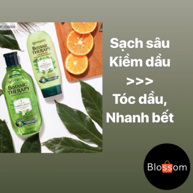 Bộ dầu gội kiềm dầu Tea tree Botanic Therapy GARNIER