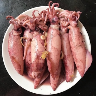 [HỎA TỐC SG] Mực ghim Phan Thiết tươi ngon 500g