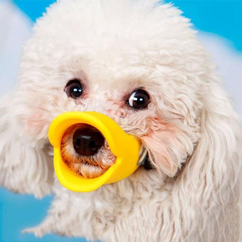 [COD] Rọ Mõm Chó Bằng Da Thoáng Khí Chống Cắn Có Thể Điều Chỉnh