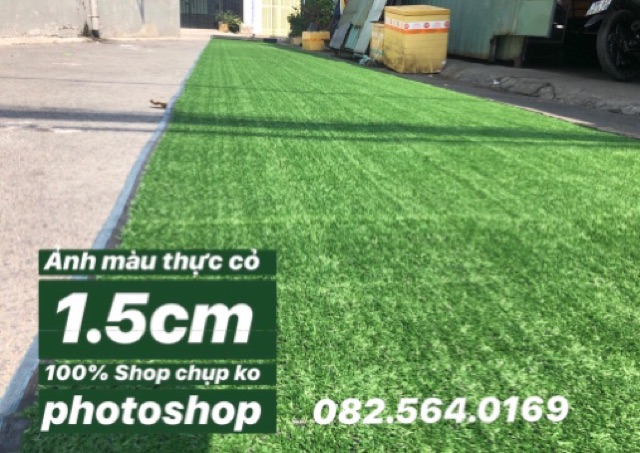 Combo 34m2 Thảm cỏ