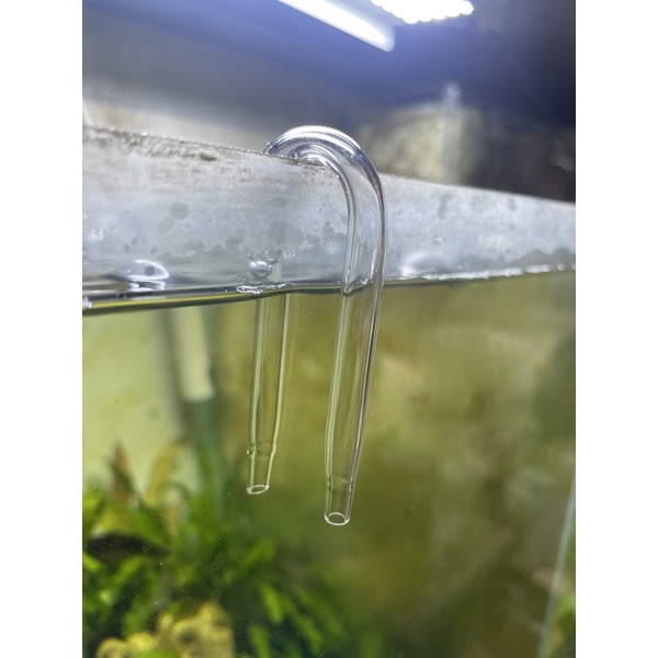 Nối ống oxy/Co2 chữ U chống gập bằng inox