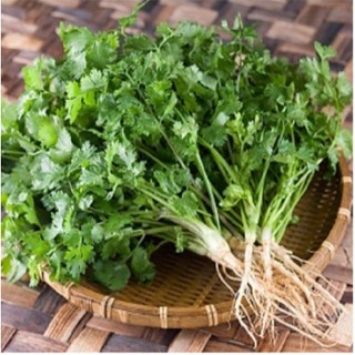 HẠT GIỐNG NGÒ RÍ 10GR