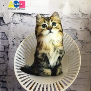 Gố ôm 3d con mèo