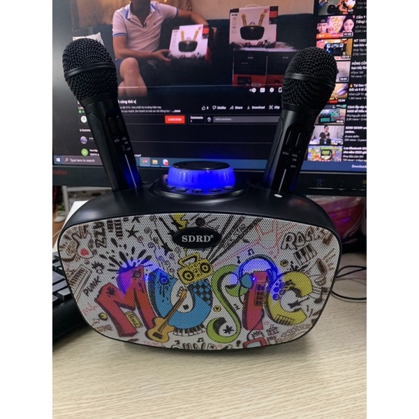 Loa hát karaoke kèm 2 mix chất lượng cao SD-314