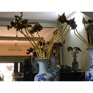 Bộ 11 bông hoa sen gỗ mít