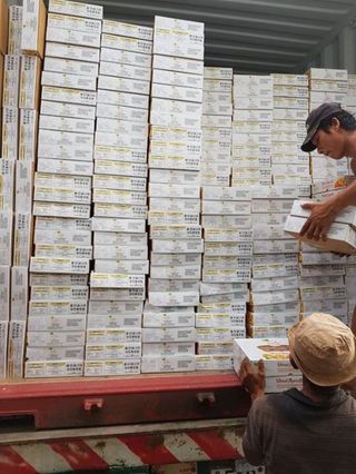 10kg mơ sấy dẻo (1 thùng lớn)