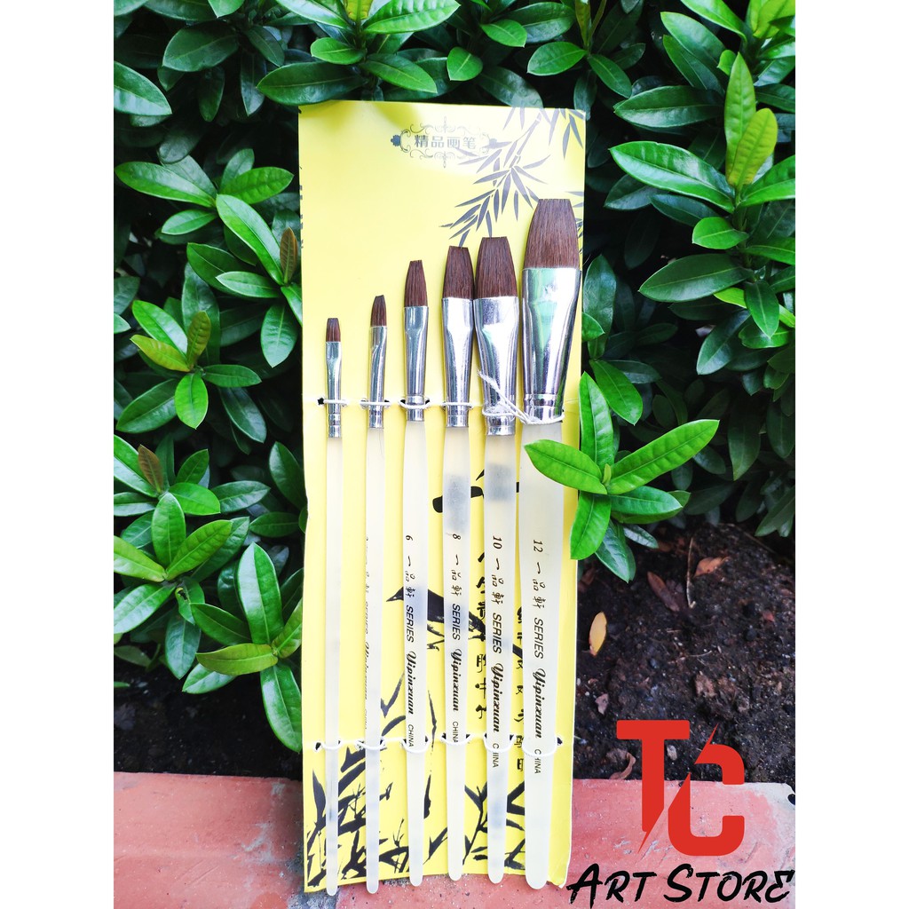 [TC Art Store] Bộ cọ 6 đầu vuông Thân Trắng Đục YIPINXUAN