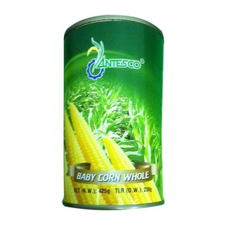 [ĐẶC SẢN AN GIANG] Bắp non đóng lon KL 425 Gram hiệu Antesco (thơm ngon tiện dụng, khui lon dùng ngay) - HSD 02 năm