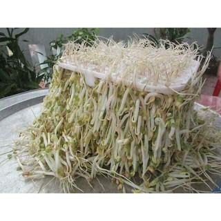Máy làm giá đỗ phiên bản tự động