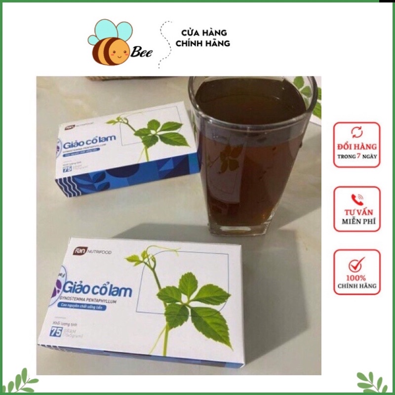 Giảo Cổ Lam ổn định huyết áp, giảm mỡ máu , ngăn ngừa xơ vữa mạch máu, bình ổn huyết áp, cao giảo cổ lam fanco
