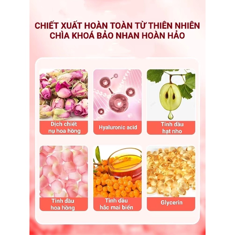 VIÊN UỐNG TINH DẦU HOA HỒNG THƠM CƠ THỂ CHỐNG LÃO HÓA NAM KINH ĐỒNG NHÂN ĐƯỜNG CHÍNH HÃNG - NỘI ĐỊA TRUNG