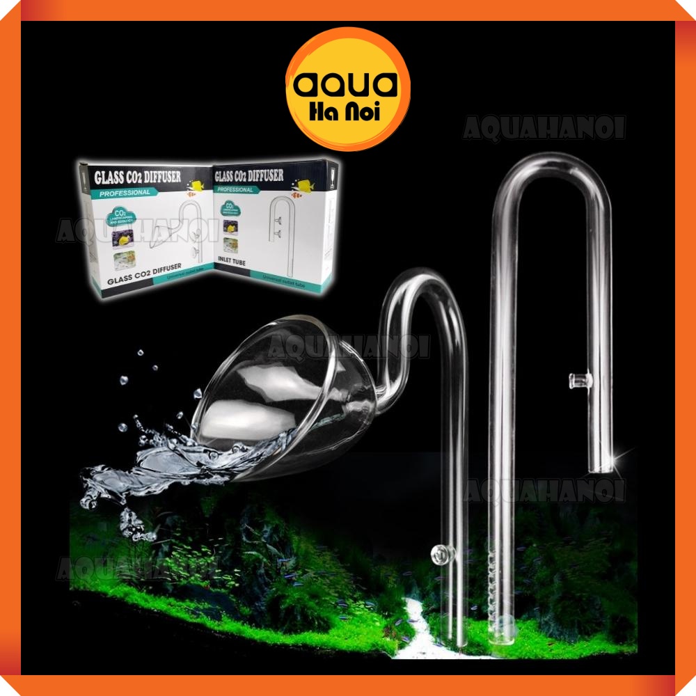 Combo In thường + Out miệng loe - Thủy tinh trong suốt - Phi 12mm16mm - Hộp chống sốc - In Out lọc thùng bể cá thủy sinh