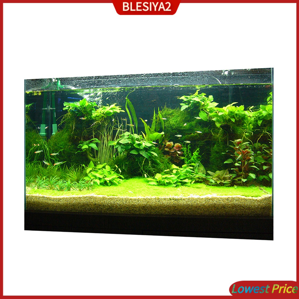 [Blesiya2] Phông Nền Bể Cá 3D Tĩnh Điện 61x30cm