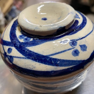 Thố đất việt nam