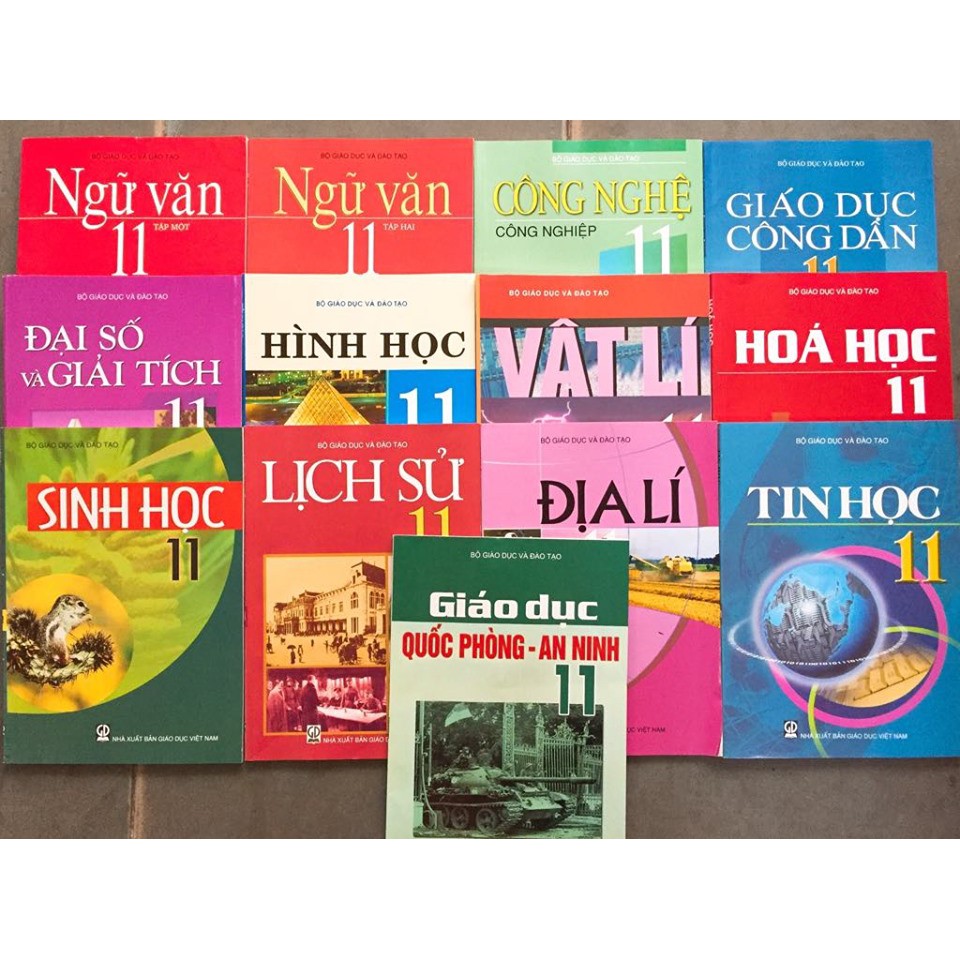 Bộ sách giáo khoa lớp 11 và Sách bài tập toán lý hóa sinh lớp 11 (18 quyển)