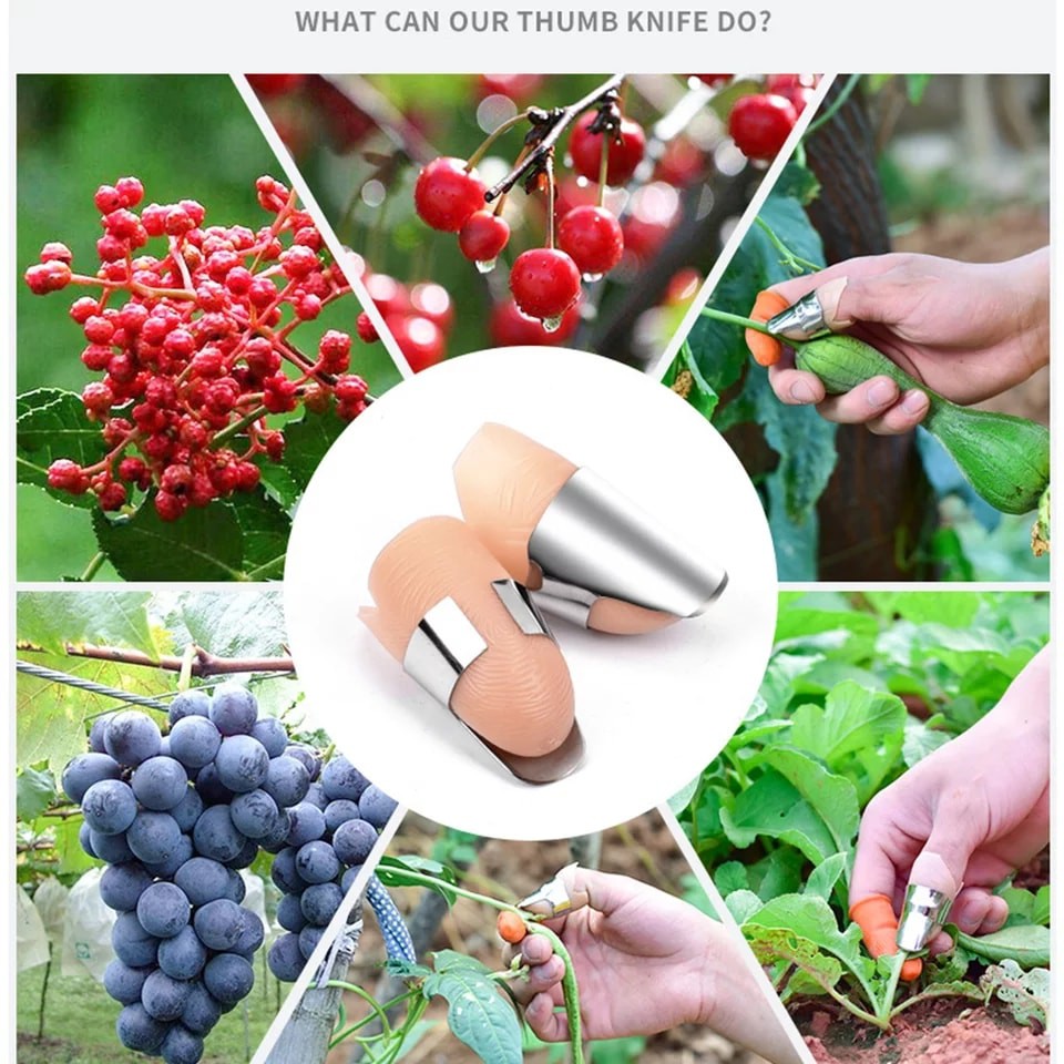 Ngón tay thép nhặt rau, hái trái cây, bóc vỏ củ quả tiện lợi
