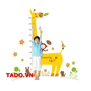 Decal thước đo dán tường làm thước đo chiều cao cho bé tiện ích GD609