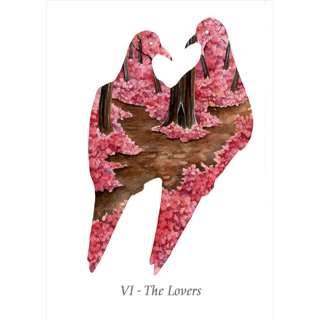 Bộ Bài WilderWoven Tarot (Mystic House Tarot Shop) - Bài Gốc Authentic Chính Hãng 100%