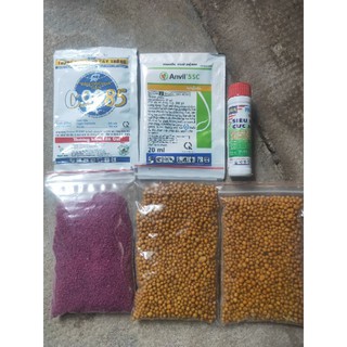 Combo phòng Bệnh Sen Đá-Xương Rồng
