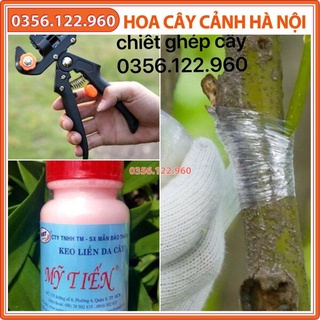 [Rẻ vô địch] Bộ 3 dụng cụ cắt ghép gồm kéo cắt ghép cành cây đa năng, giấy ghép tự hủy khổ 5cm, keo liền xẹo