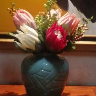 Hoa lụa - quốc hoa Nam Phi - hoa Protea