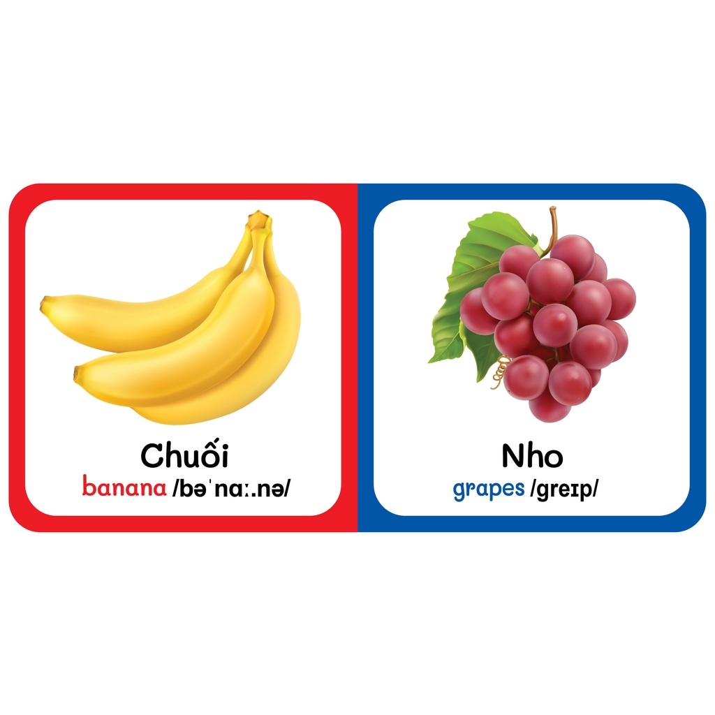 Sách - combo 9 Quyển Từ Điển Bằng Hình Đầu Tiên Của Bé Từ 0-6 tuổi - Song Ngữ Anh- Việt  vàng