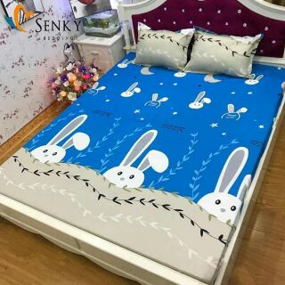 Ga chun 2 vỏ gối chất poly 2mx2m2.
