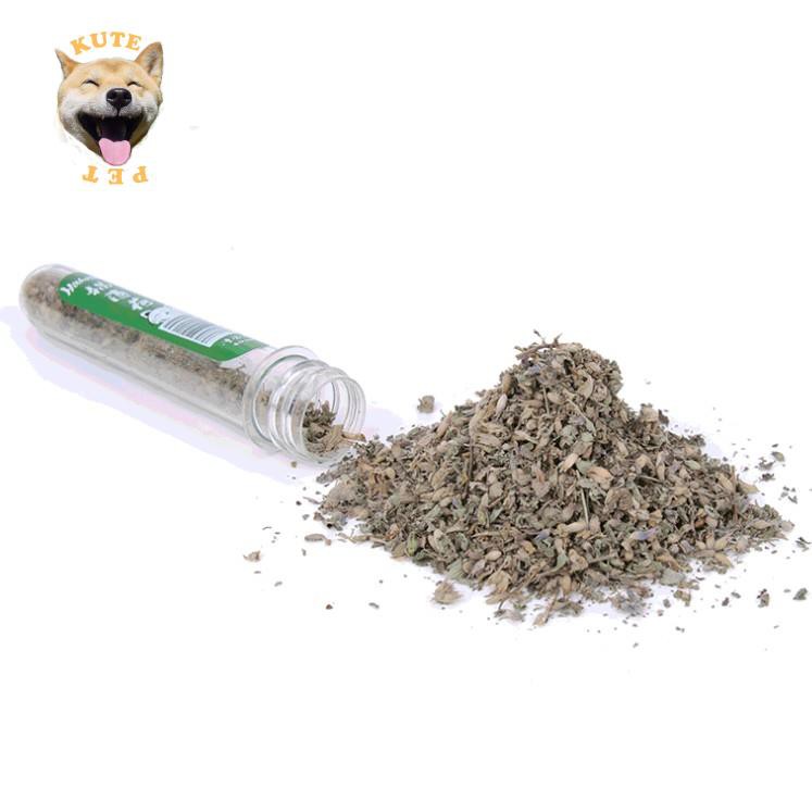 Cỏ bạc hà catnip cho mèo