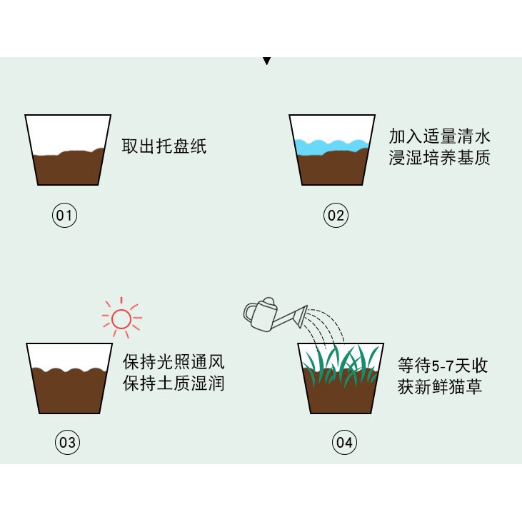 bộ trồng cỏ mèo -ngăn ngừa búi lông và bổ sung chất xơ cho mèo