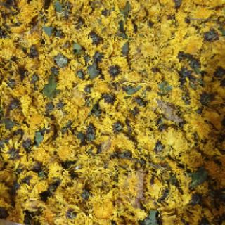 1KG HOA CÚC VÀNG