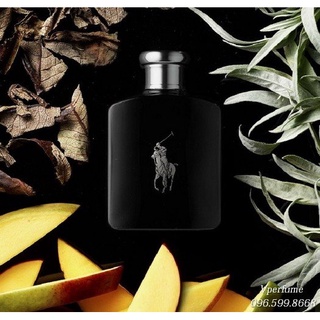 Nước hoa Ralph Lauren Poloo Double Black