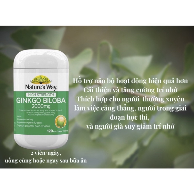Viên uống bổ não Ginkgo Biloba hộp 120 viên
