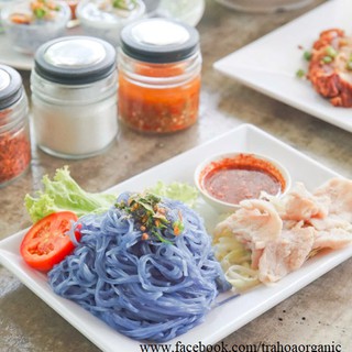 Trà Hoa đậu biếc organic