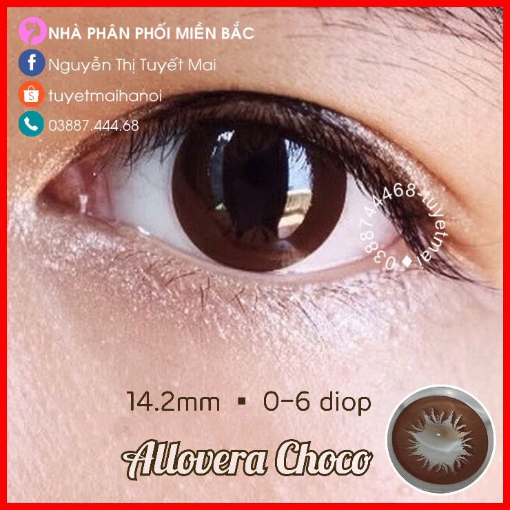 [ Ảnh Thật ] Lens Cận Màu Nâu Tự Nhiên Siêu Êm Siêu Mềm Allovera Choco 14.2mm - Kính Áp Tròng Hàn Quốc Vassen Sexy Me