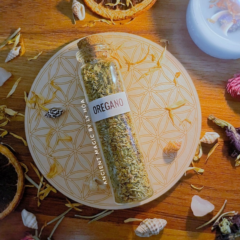 LỌ THẢO MỘC WITCHCRAFT (30 loại) | Lọ hoa khô trang trí - Handmade - Resin - Spell - Decor | Ancient Magic by Ly Hỏa