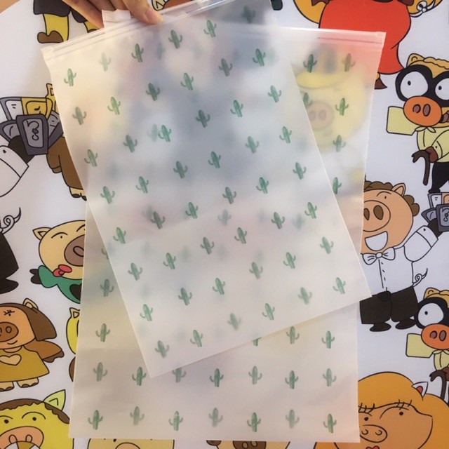 Túi zip CÂY XƯƠNG RỒNG đựng đồ cá nhân quần áo giày dép mỹ phẩm - NHIỀU KÍCH THƯỚC