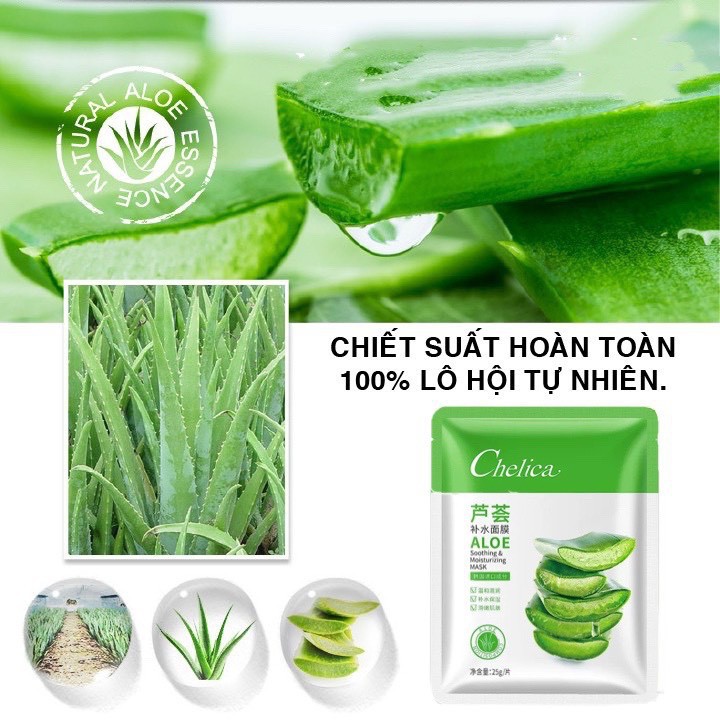 [N128] Mặt nạ nha đam FREESHIP Nạ nha lô hội Chelica cao cấp, cấp ẩm chống lão hóa da hàng chuẩn