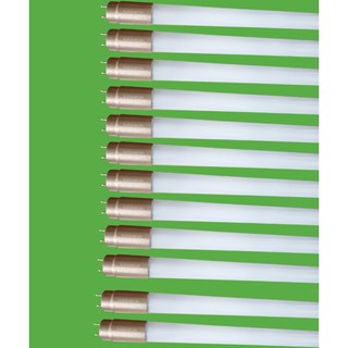 Bộ 12 Bóng đèn led Tuýp thủy tinh 30W 1,2m,  (ánh sáng trắng)