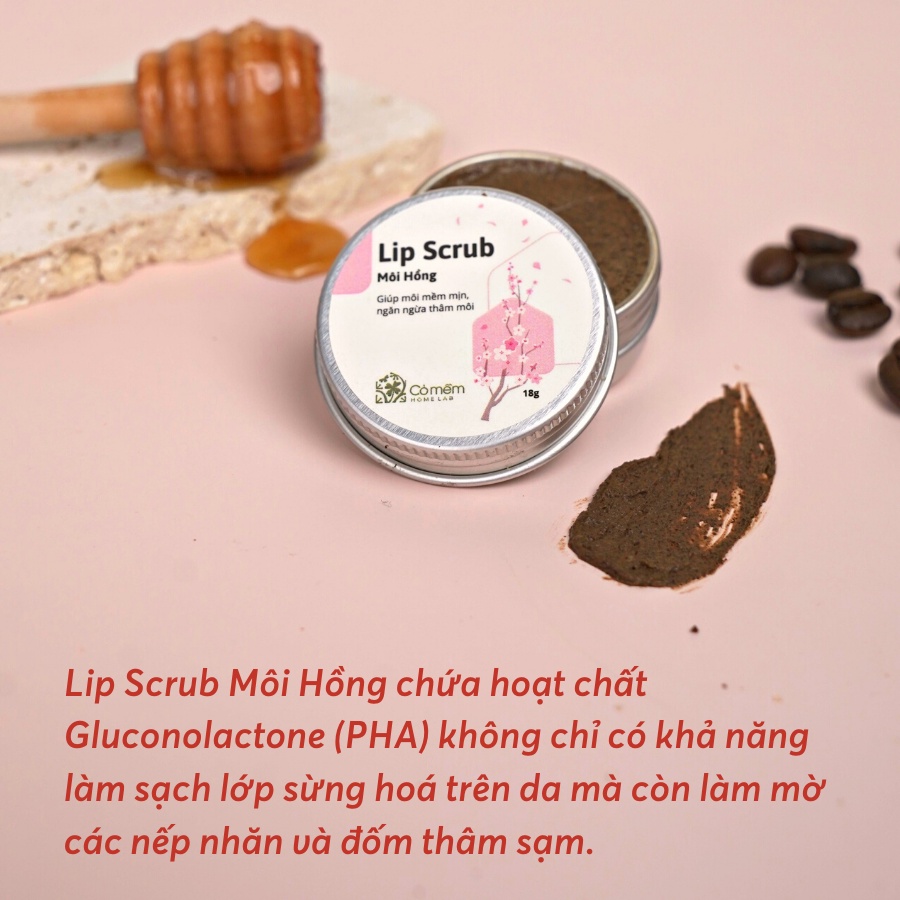 Tẩy da chết môi Lip Scrub Môi Hồng Giảm Thâm Dưỡng Ẩm Cho Môi Cỏ Mềm 18g