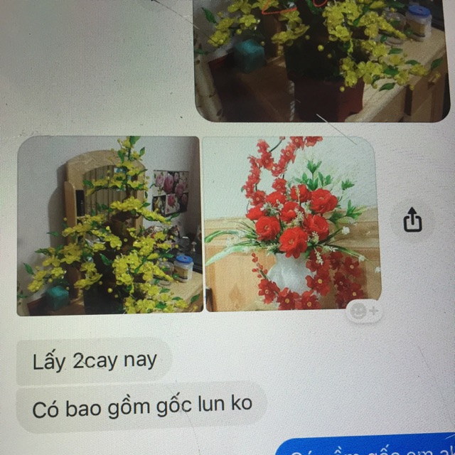 Combo 2 bình hoa như hình cho khách