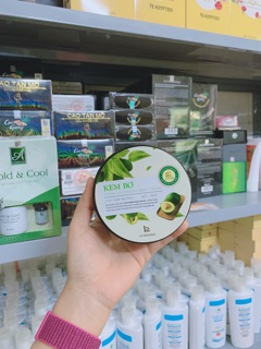 Body lá kem bơ